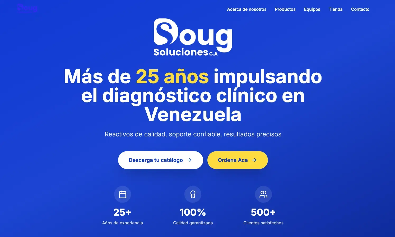 Doug Soluciones, Desarrollo web